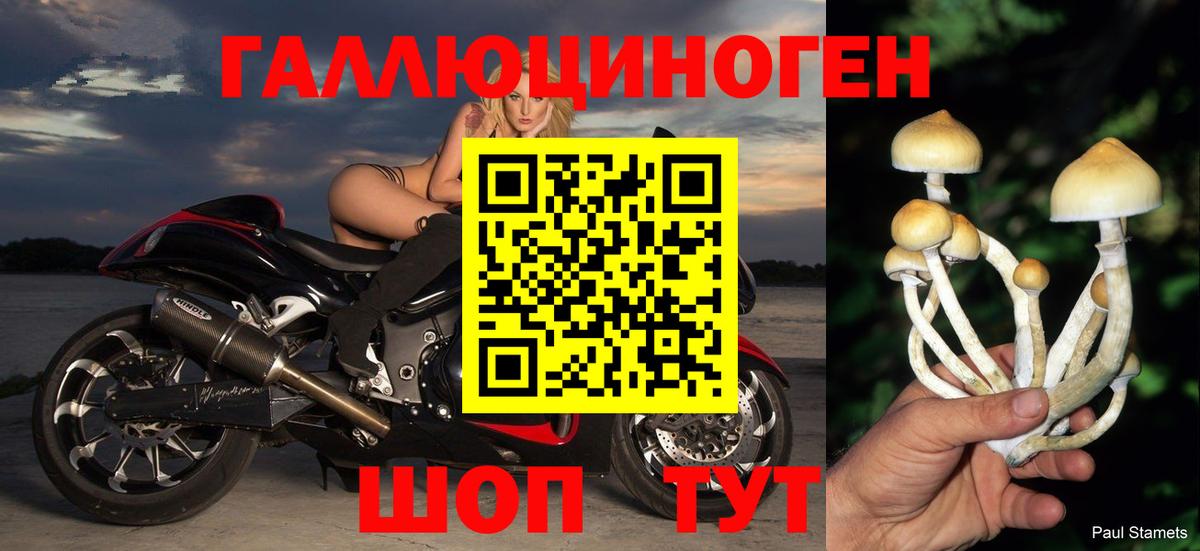 Псилоцибиновые грибы мицелий Шали